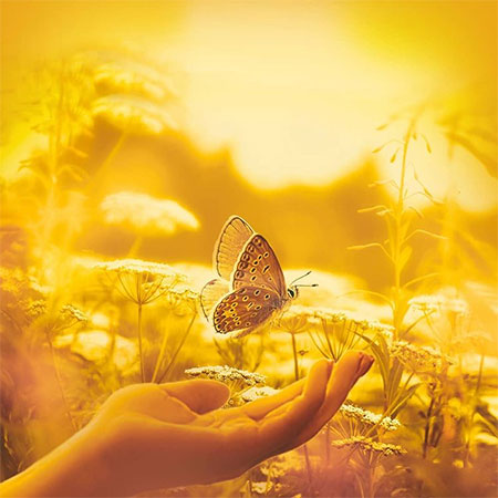 دانلود آهنگ آرام جانم رفت علی رزاقی